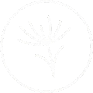 The Angelicas – Mediunidad, energía y guía espiritual